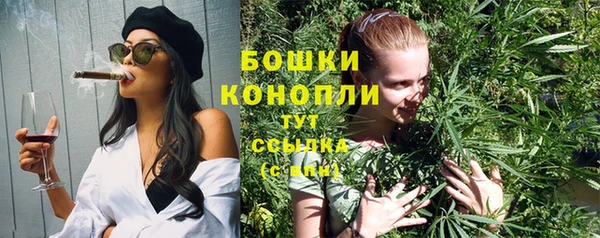 PSILOCYBIN Баксан