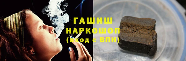 прущие грибы Армянск