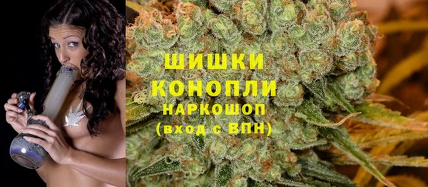 PSILOCYBIN Баксан