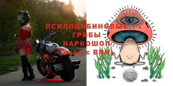 прущие грибы Армянск
