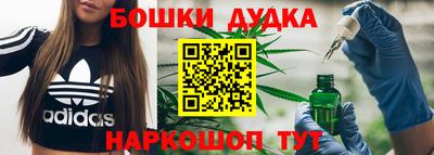 наркотики Новодвинск