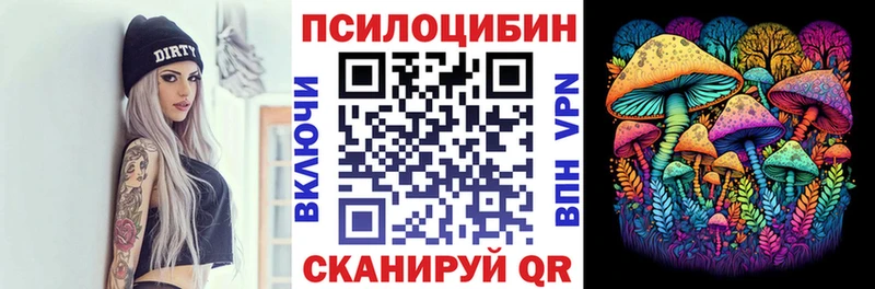 hydra Тайшет Галлюциногенные грибы мицелий