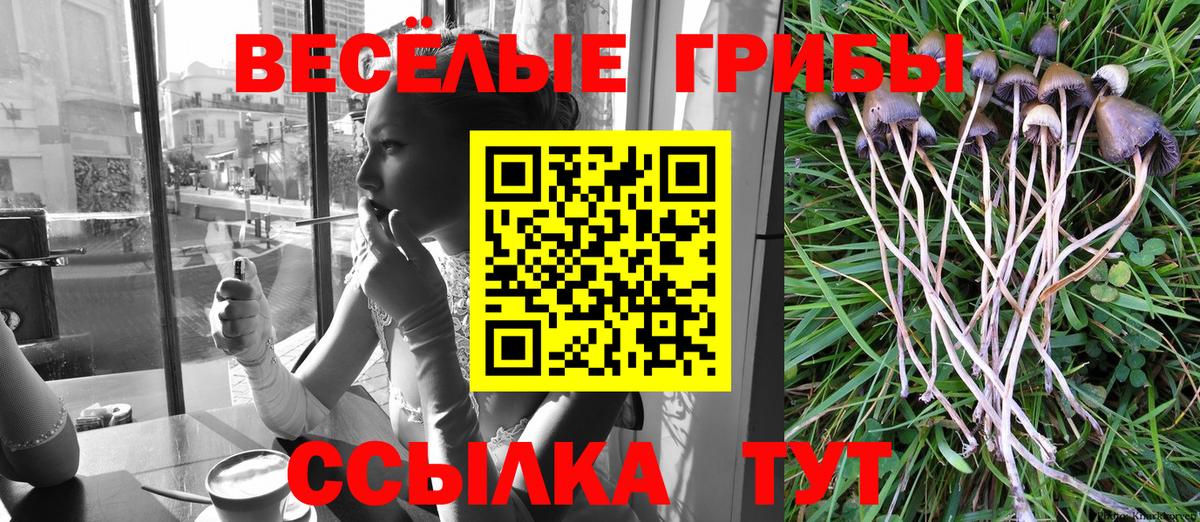 Псилоцибиновые грибы мицелий  Вход с VPN  Тайшет 