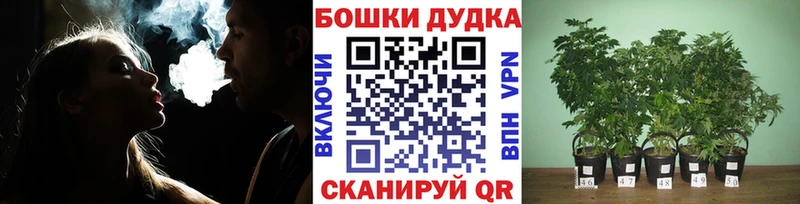 Марихуана AK-47  наркотики  Тайшет 